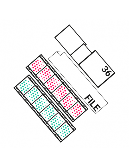 Sviluppo Rullino Diapositive Colore 36 Foto + File + Stampa Foto