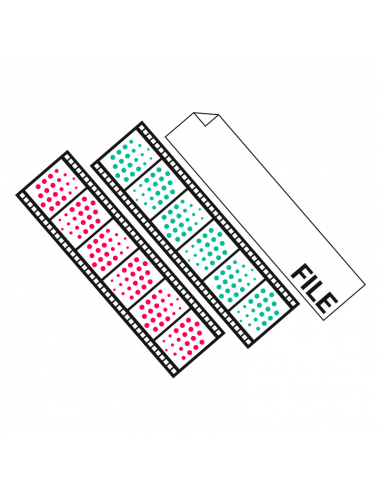 Sviluppo Rullino Diapositive Colore / B&W + File