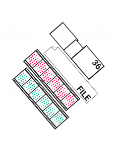 Sviluppo Rullino 120...