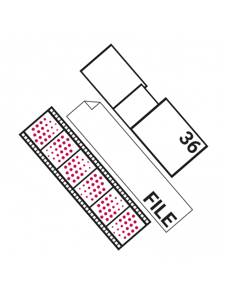 Sviluppo Rullino Colore 36 Foto + File + Stampa Foto 13x18cm