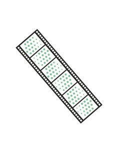 Sviluppo Rullino B&W