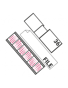 Sviluppo Rullino Colore 36...