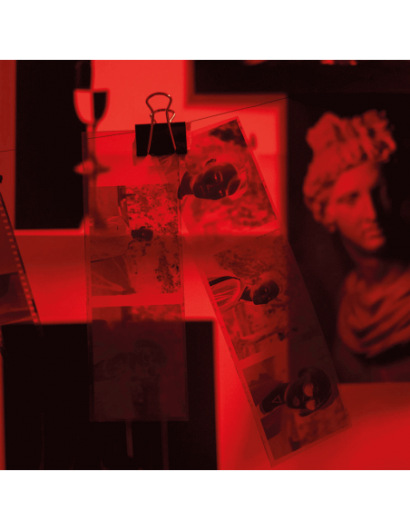 Sviluppo Rullino Colore 24 Foto + File + Stampa Foto